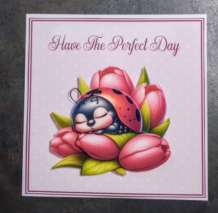 Ladybird Perfect Day by Jackie Odonnell