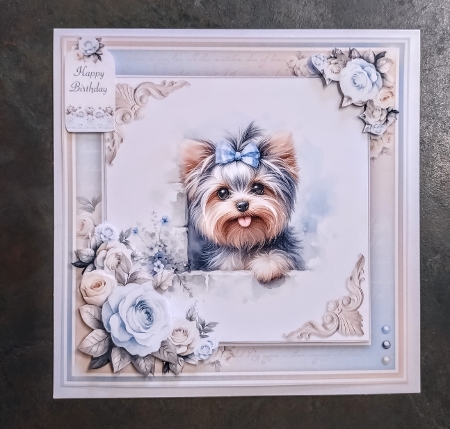 Paw Prints (Yorkie) by Jackie Odonnell