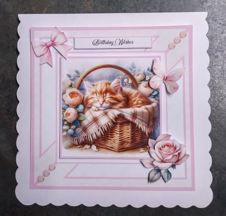 A Purrfect Lullaby by Jackie Odonnell