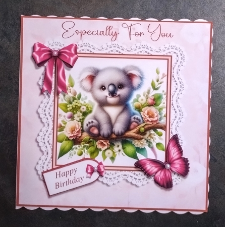 Especially For You Cuddly Koala by Jackie Odonnell