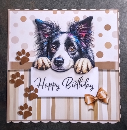 Perfect Pal Birthday by Jackie Odonnell