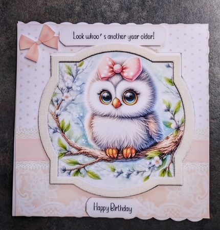 Hoot Hoot Hooray!! by Jackie Odonnell