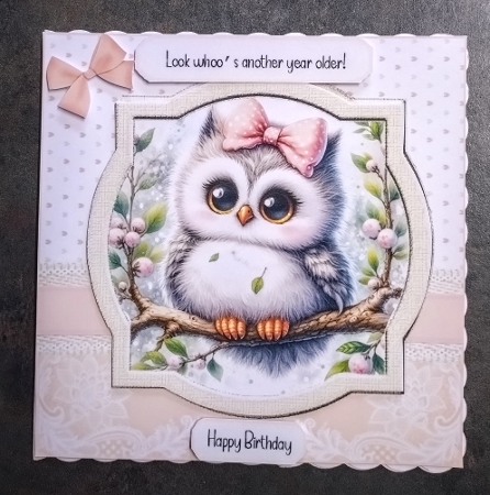 Hoot Hoot Hooray!! by Jackie Odonnell