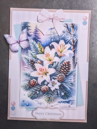 Wonderful Winter Flowers by Jackie Odonnell