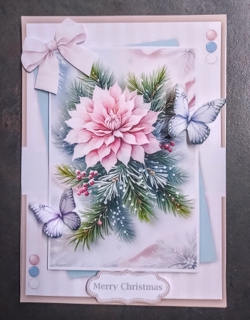 Wonderful Winter Flowers 2 by Jackie Odonnell