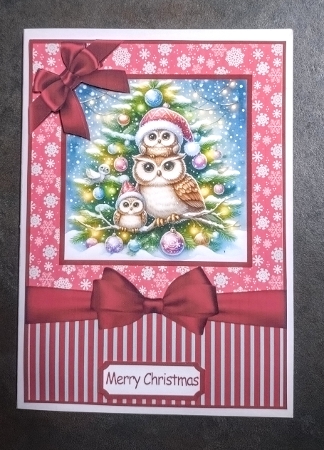 Festive Christmas Owls Card Front 7x5 by Jackie Odonnell