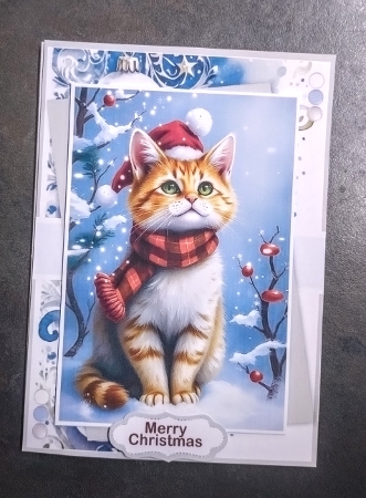Christmas Santa Cat by Jackie Odonnell