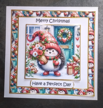 hedgehog christmas time by Jackie Odonnell