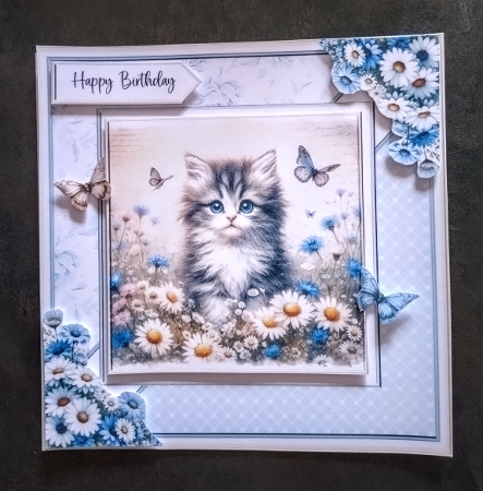 Whiskers and Wings by Jackie Odonnell