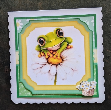 Fresh As A Daisy Mini Kit 7x7 by Jackie Odonnell