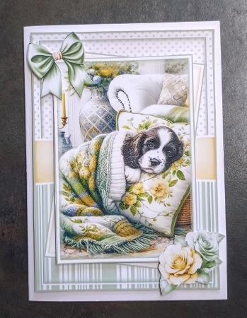 Cozy Springer Spaniel Mini Kit - Set Of 3 Card Fronts by Jackie Odonnell