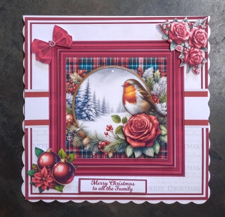 7x7 6x6 5x7 - TARTAN ROBIN by Jackie Odonnell