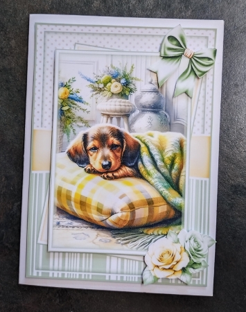 Cozy Dachshund Set Of 3 Card Fronts by Jackie Odonnell