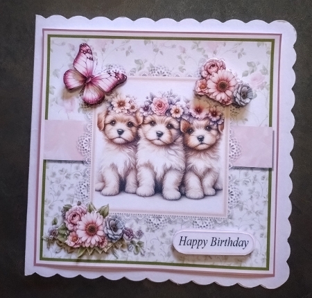 Summer Flower Pups by Jackie Odonnell