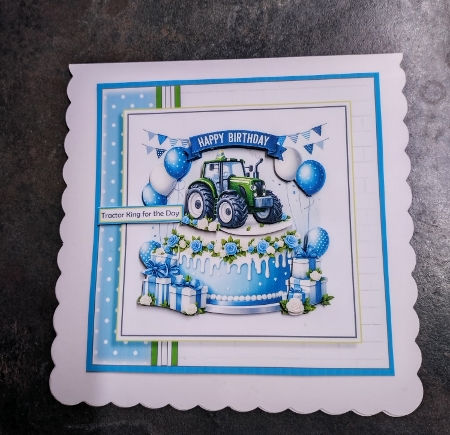 cup1386241_1443 - Born To Plough And Party!