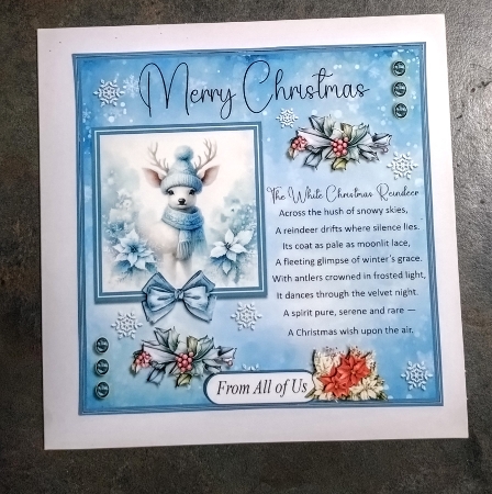 The White Reindeer by Jackie Odonnell