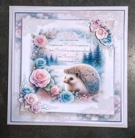 A Hedgehog Comes With Cheer Today by Jackie Odonnell