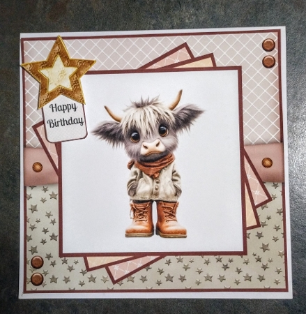 Quirky Highland Cows - 8x8 Card Fronts by Jackie Odonnell