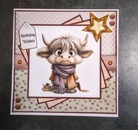 Quirky Highland Cows - 8x8 Card Fronts by Jackie Odonnell