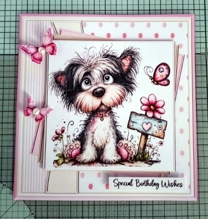 Paws of Joy by Jackie Odonnell