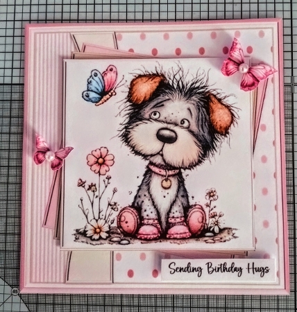 Paws of Joy by Jackie Odonnell