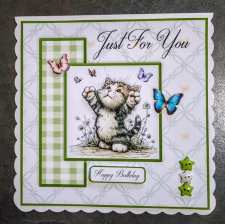 Chasing Butterflies Multi Occasion by Jackie Odonnell