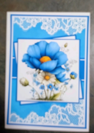Wildflowers In Bloom Mini Kit 5x7 (3) by Jackie Odonnell