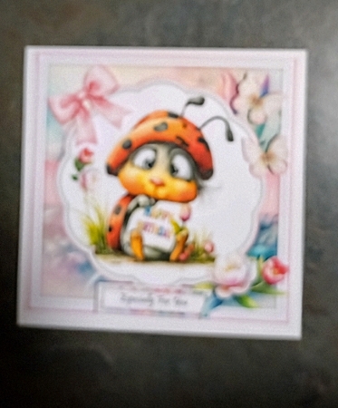 Ladybug Birthday Mini Page Kit by Jackie Odonnell