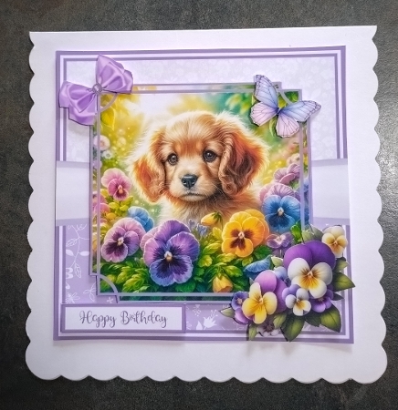 PANSY PUPPIES 5x7 6x6 by Jackie Odonnell