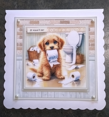 Minikit It wasnt Me by Jackie Odonnell