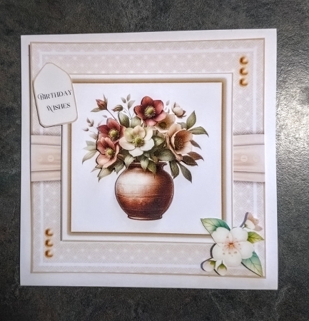Hellebore Vases - 6x6 and 5x7 Version by Jackie Odonnell