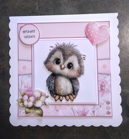 Cute Wildlife - 6x6 and 5x7 Version by Jackie Odonnell