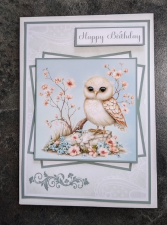 Beautiful Owls Mini Kit 5x7 (3) Plus Bonus by Jackie Odonnell