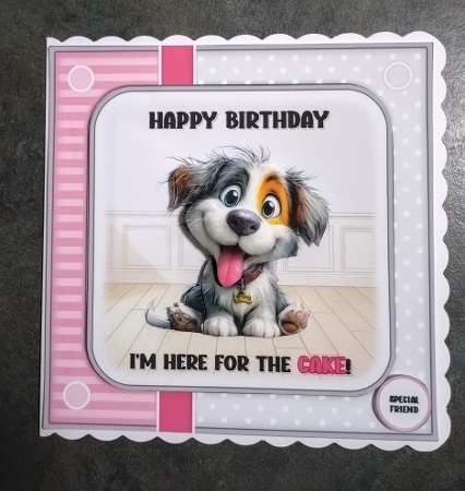 Here for the cake by Jackie Odonnell