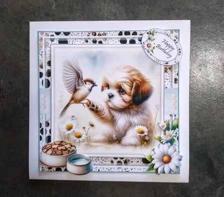 Cute Shih Tzu Pups Mini Kit by Jackie Odonnell