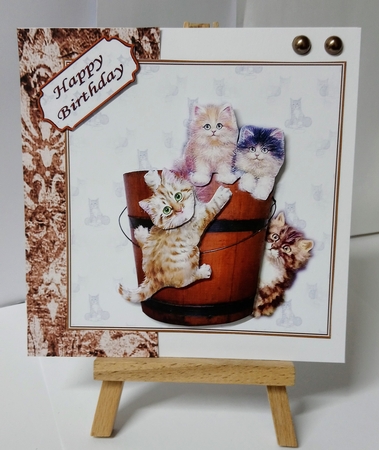 Mischevious Kittens by Jackie Odonnell