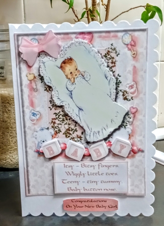 A New Baby Girl to Love by Jackie Odonnell