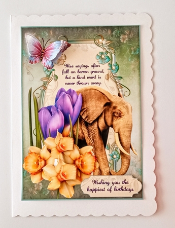 Kind Words Wise Elephant by Jackie Odonnell