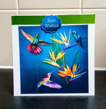 Bird of Paradise Flowers & Hummingbirds by Jackie Odonnell