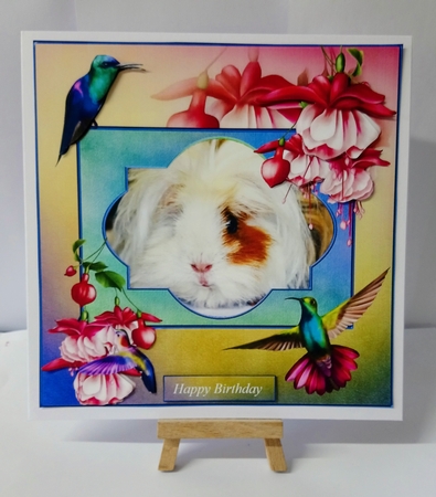 Guinea Pig Portrait and Flowers with Decoupage by Jackie Odonnell