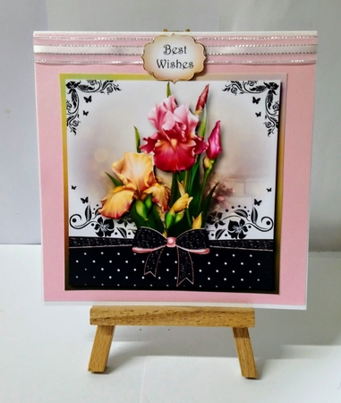 The Gift Of The Blush Iris by Jackie Odonnell