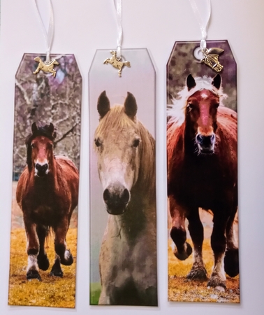 JJ ASSORTED BOOKMARKS HORSES by Jackie Odonnell