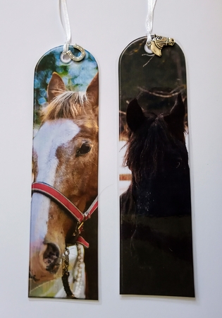 JJ ASSORTED BOOKMARKS HORSES by Jackie Odonnell