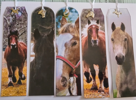 JJ ASSORTED BOOKMARKS HORSES by Jackie Odonnell