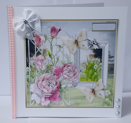 garden rose and butterfly by Jackie Odonnell