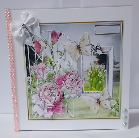 garden rose and butterfly by Jackie Odonnell