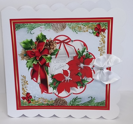 Red poinsettia  by Jackie Odonnell