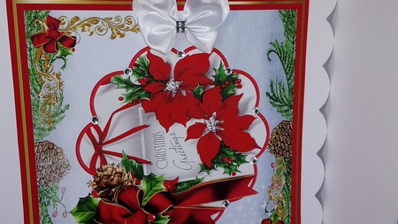 Red poinsettia  by Jackie Odonnell