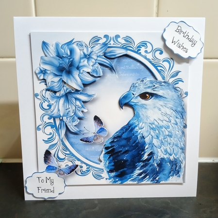 Serene Eagle - Watercolour Wonder by Jackie Odonnell