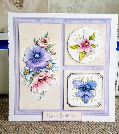 Summer flower by Jackie Odonnell